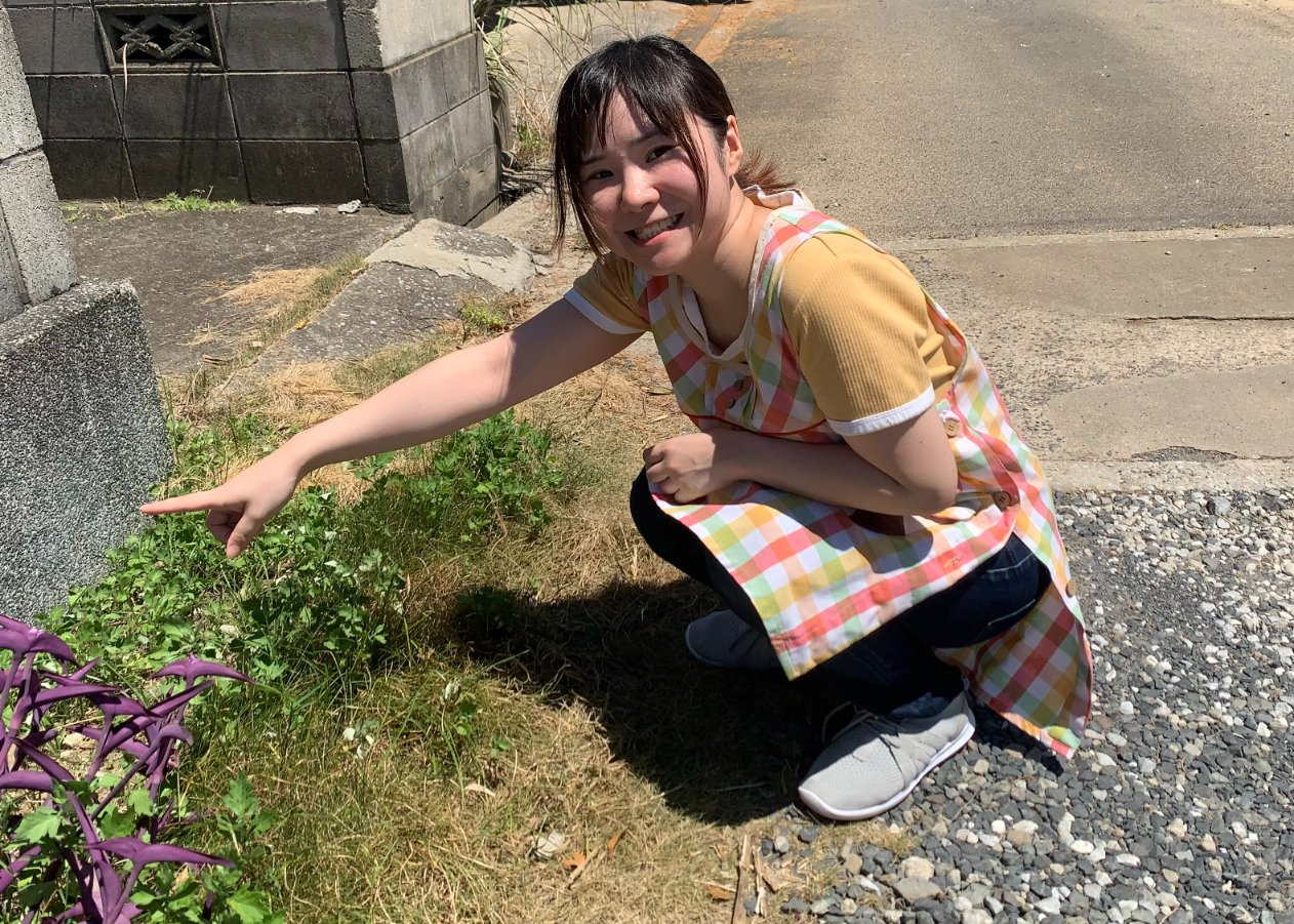 自分のプロフィール